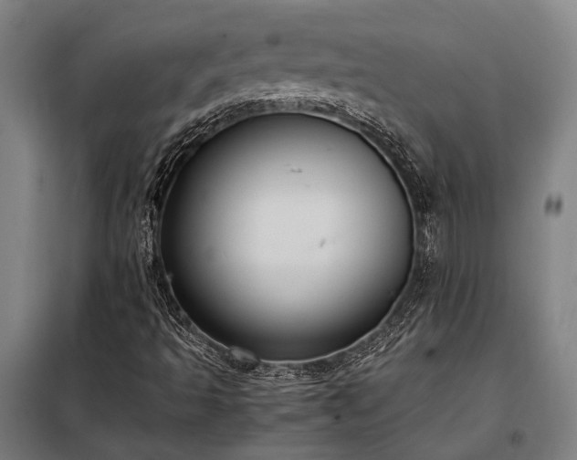 X0000098001493200804021019