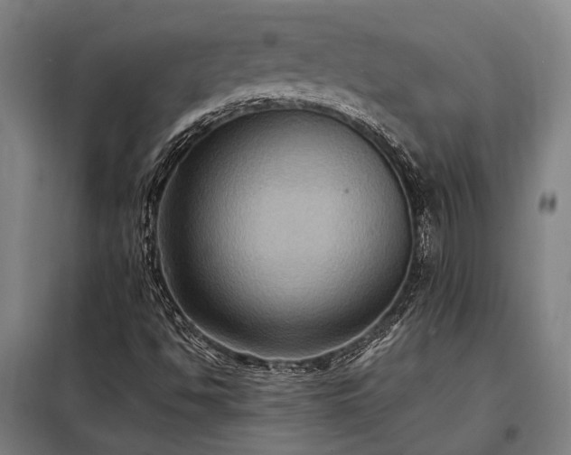 X0000098001494200804021019