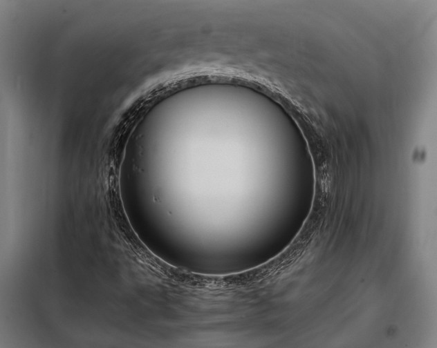 X0000098001495200804021019