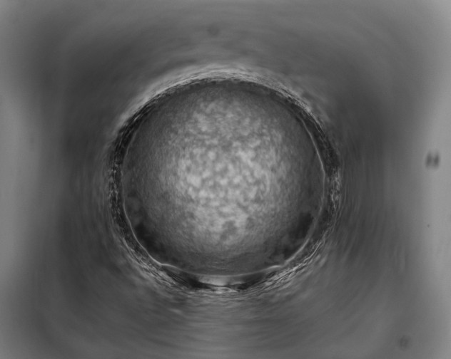 X0000098001496200804021019