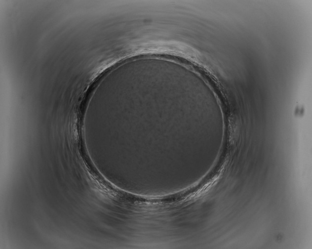 X0000098001497200804021019