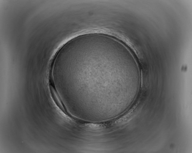 X0000098001500200804021019