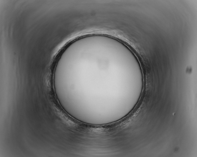 X0000098001502200804021019