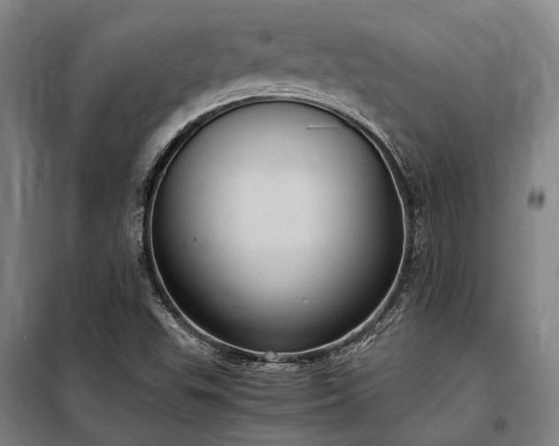 X0000098001503200804021019