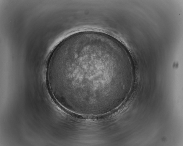 X0000098001504200804021019