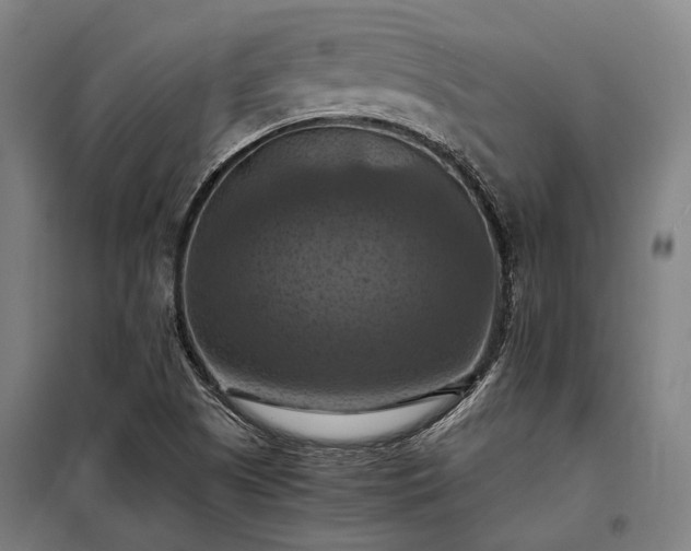 X0000098001505200804021019