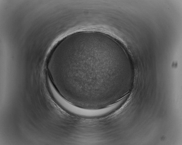 X0000098001506200804021019