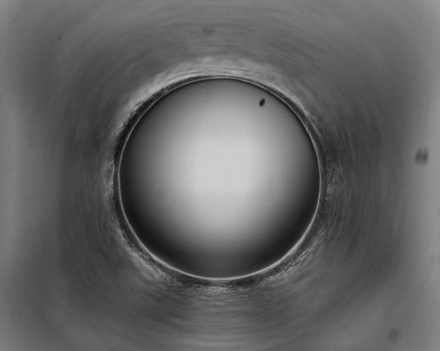 X0000098001507200804021019