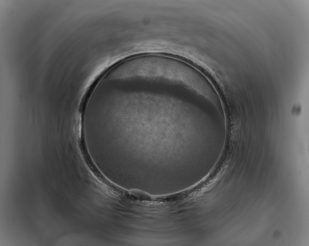 X0000098001509200804021019