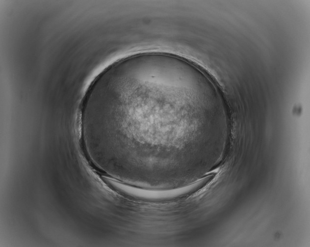 X0000098001510200804021019