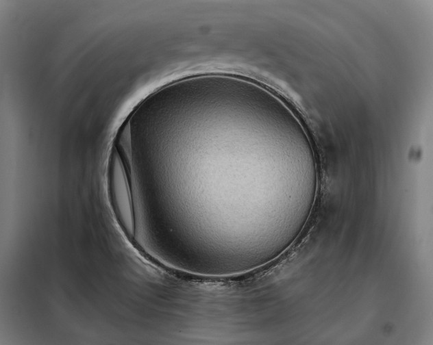X0000098001512200804021019
