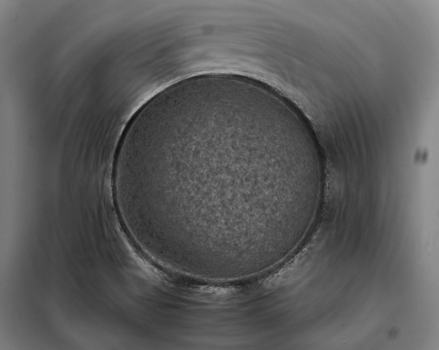 X0000098001513200804021019