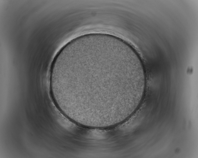X0000098001514200804021020