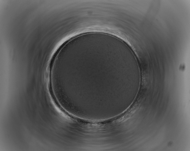 X0000098001515200804021020