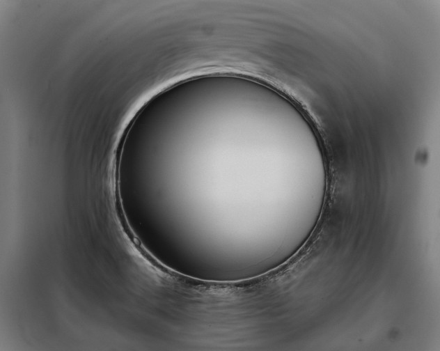 X0000098001516200804021020