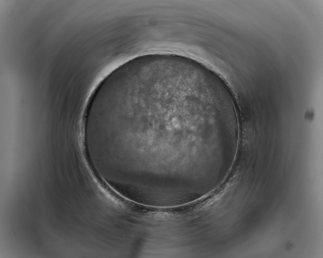 X0000098001517200804021020