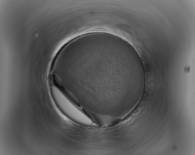 X0000098001519200804021020