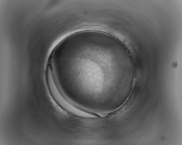 X0000098001520200804021020