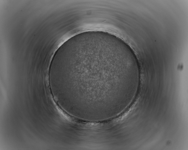 X0000098001521200804021020