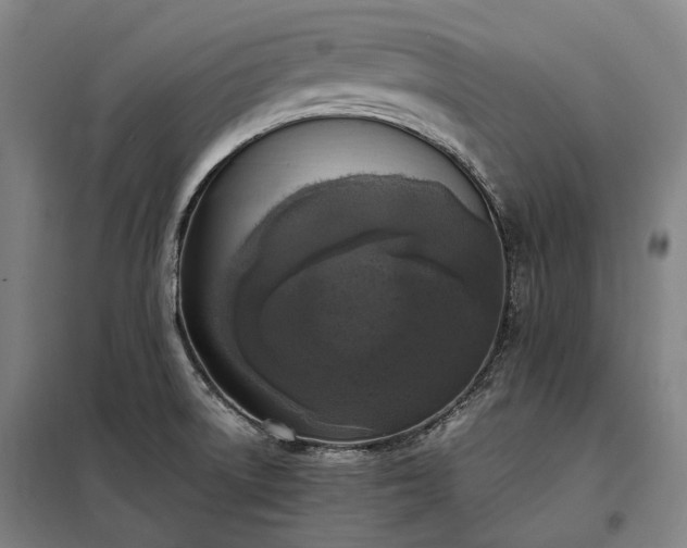 X0000098001522200804021020