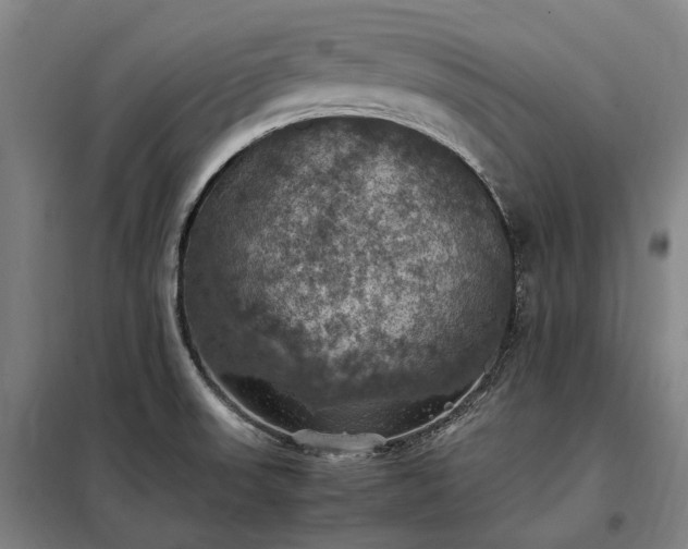 X0000098001523200804021020