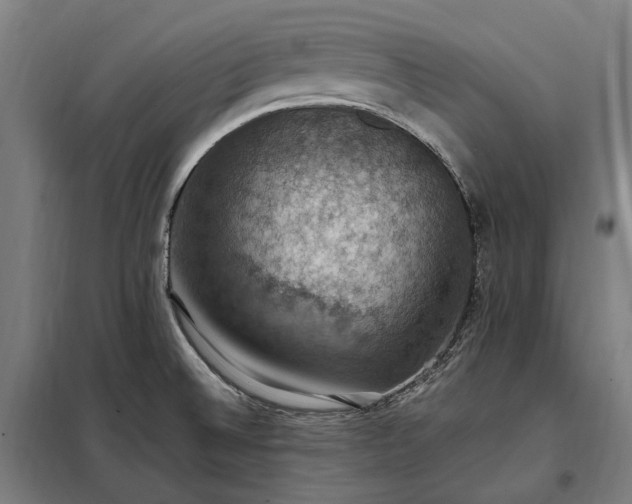 X0000098001524200804021020