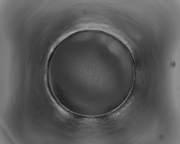 X0000098001525200804021020