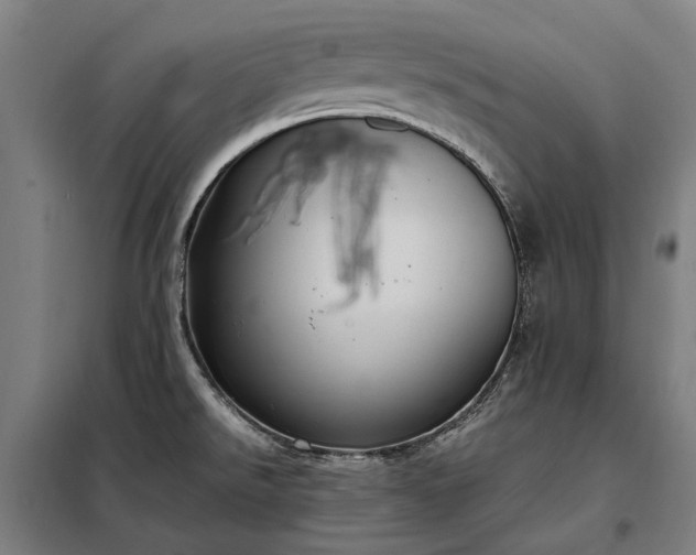 X0000098001526200804021020