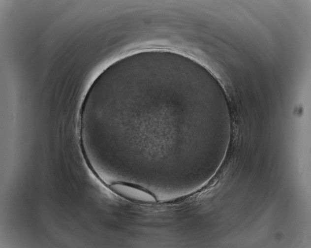 X0000098001527200804021020