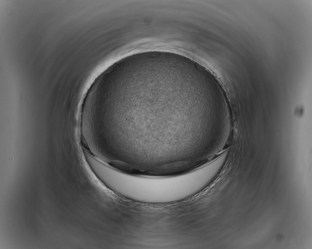 X0000098001528200804021020