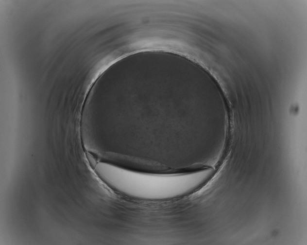 X0000098001529200804021020