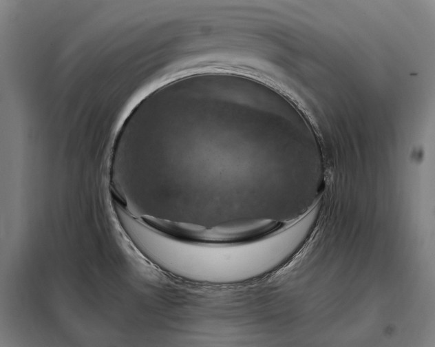 X0000098001530200804021020