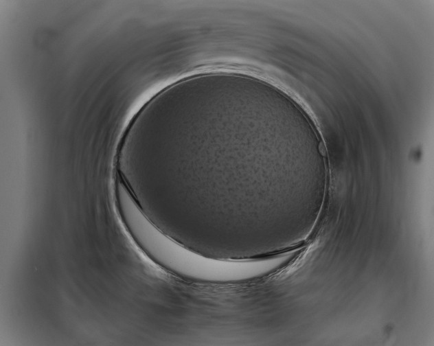 X0000098001533200804021020
