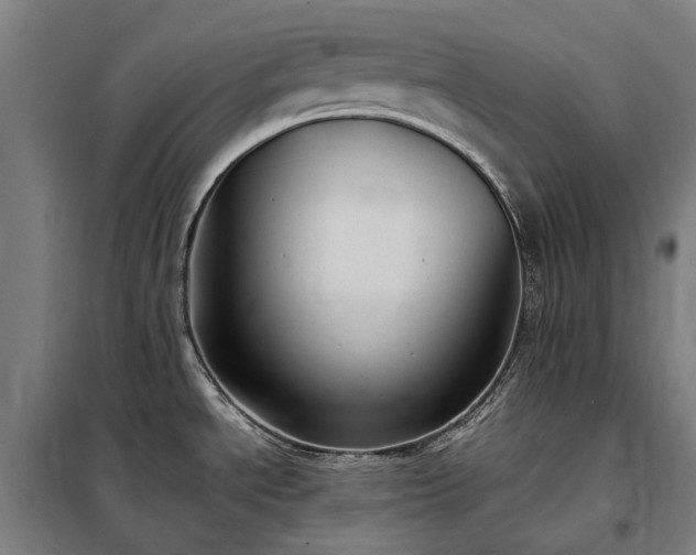 X0000098001534200804021020