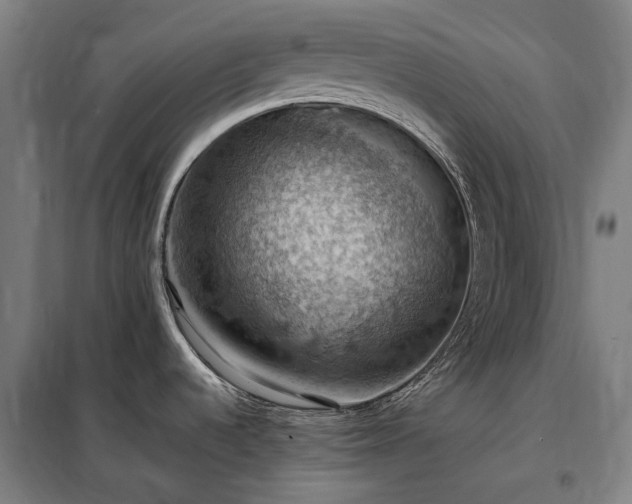 X0000098001536200804021020