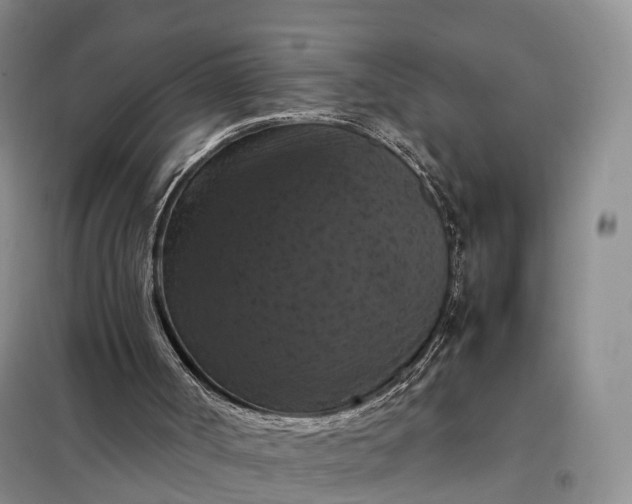 X0000098000002200804071230