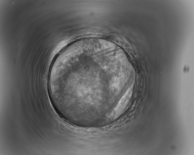 X0000098000003200804071230