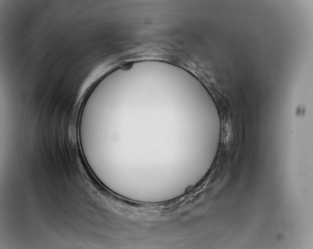 X0000098000004200804071230