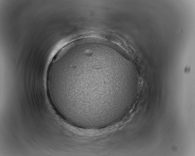 X0000098000006200804071230