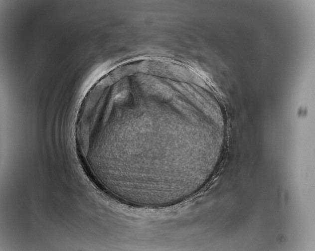 X0000098000007200804071230