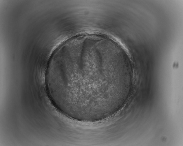 X0000098000010200804071230