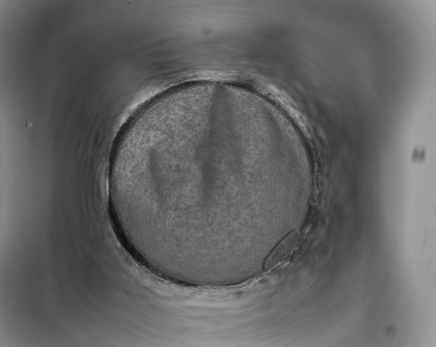 X0000098000011200804071230