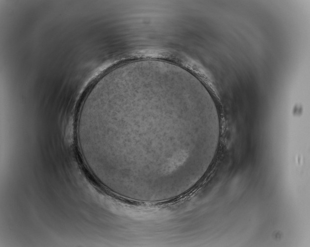 X0000098000012200804071230