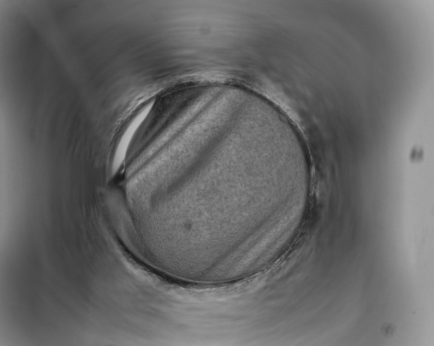 X0000098000013200804071230