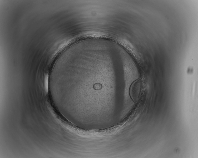 X0000098000014200804071230