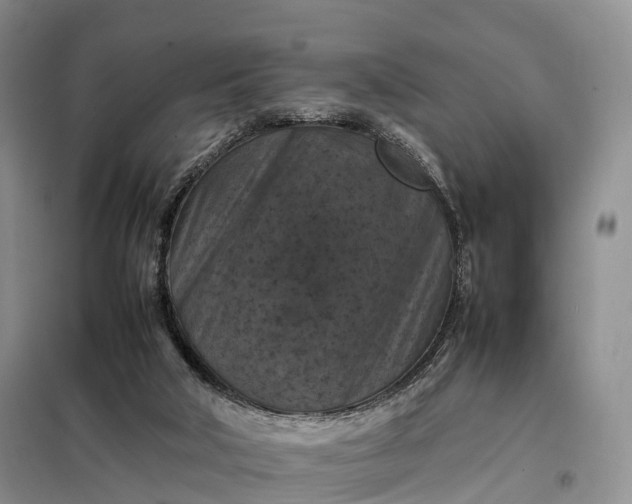 X0000098000018200804071230