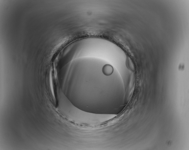 X0000098000019200804071230