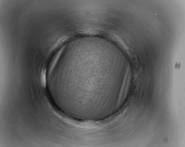 X0000098000020200804071230