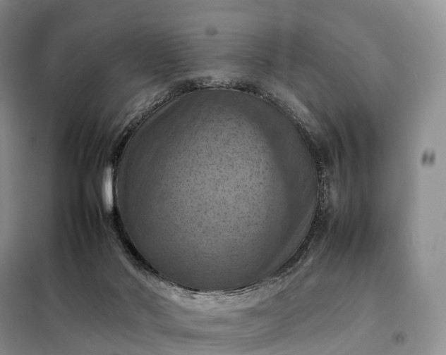 X0000098000022200804071230