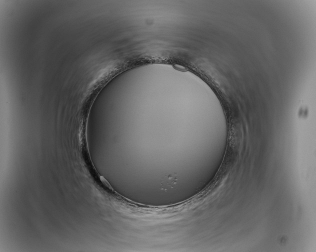 X0000098000023200804071230